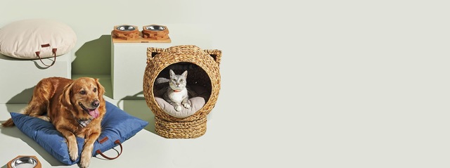 Pet's shop hotsell