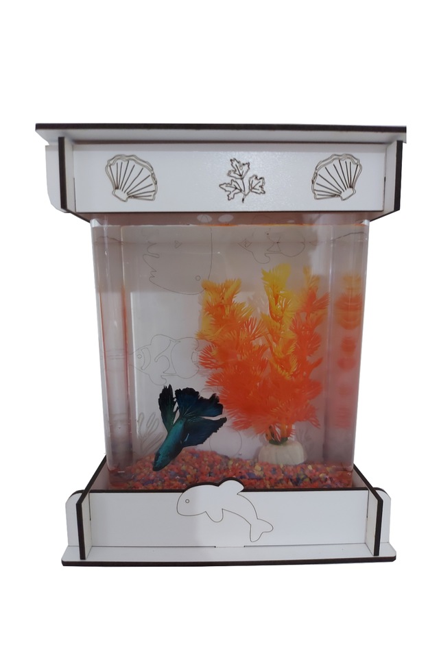 Ahsap Dekorlu Akrilik Akvaryum Beta Fanus Fiyatlari Ve Ozellikleri