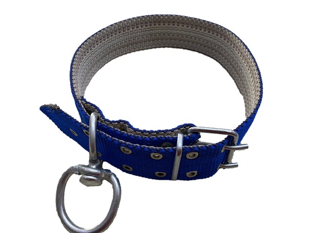 Buyuk Cins Kopek Tasmasi 80 Cm Fiyatlari Ve Ozellikleri