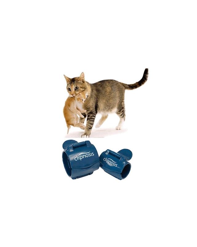 Clipnosis Kedi Sakinlestirme Klipsi Kucuk Fiyatlari Ve Ozellikleri