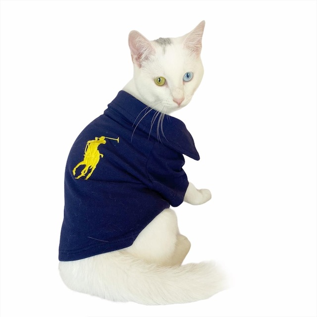 Kemique Rl Navy Yellow Polo Yaka Tisort Kedi Kiyafeti Fiyatlari Ve Ozellikleri
