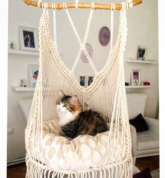 askili makrome kedi yatagi salincagi 70 x 56 cm fiyatlari ve ozellikleri