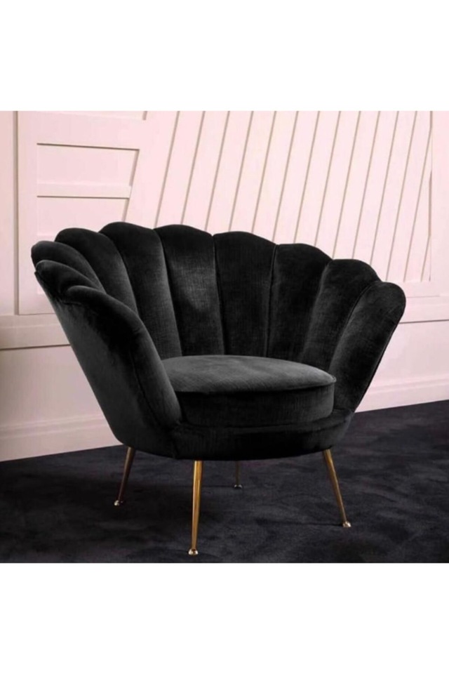 Papatya Berjer Fiyatlari Ve Ozellikleri Papatya Berjer Fiyatlari Ve Ozellikleri