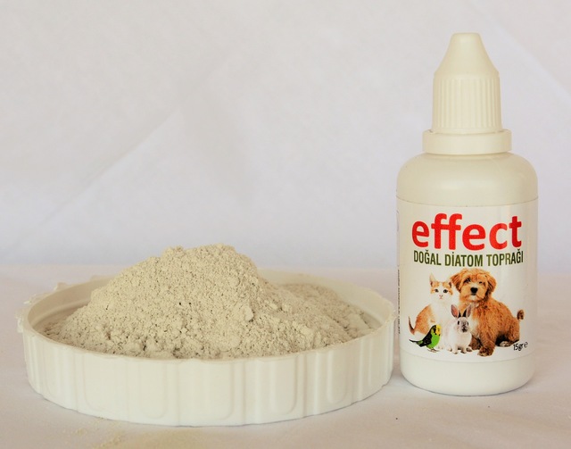 köpekler için bit ilacı