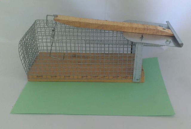 Canli Kus Yakalama Kapani Canli Kus Tuzagi Fiyatlari Ve Ozellikleri