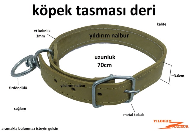 Kopek Tasmasi Deri Kalin Kangal Tasma Battalderi Metal Toka Fiyatlari Ve Ozellikleri