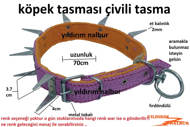 Kopek Tasmasi Hasir Dikenli Tasma Civili Tasma Buyuk Boy Fiyatlari Ve Ozellikleri Kopek Tasmasi Hasir Dikenli Tasma Civili Tasma Buyuk Boy Fiyatlari Ve Ozellikleri