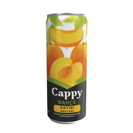  Cappy Meyve Suyu Litreleri 