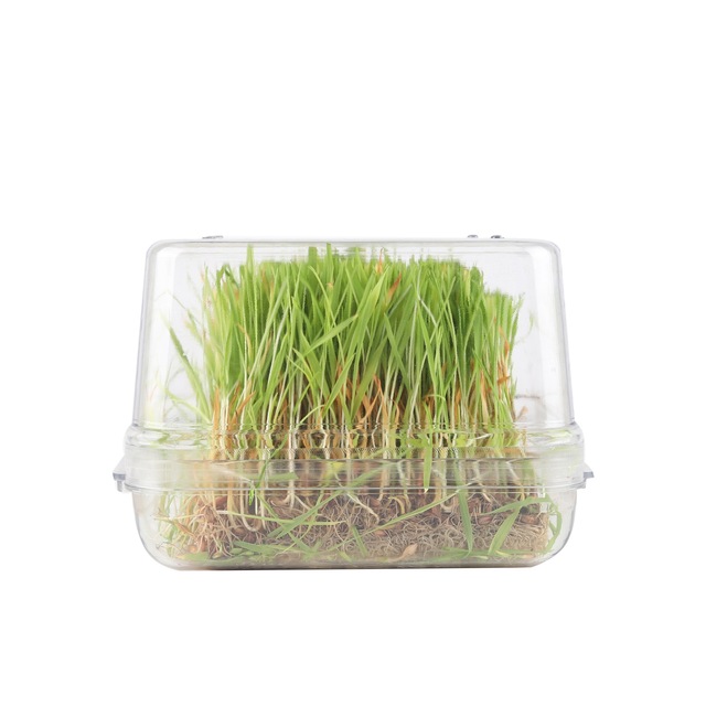 cimlendirme kabi fiyatlari ve ozellikleri