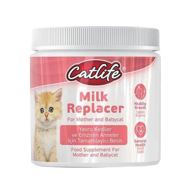 Kedi Süt Tozu Nasıl Hazırlanır ve Katı Gıdaya Geçiş Nasıl Yapılır?