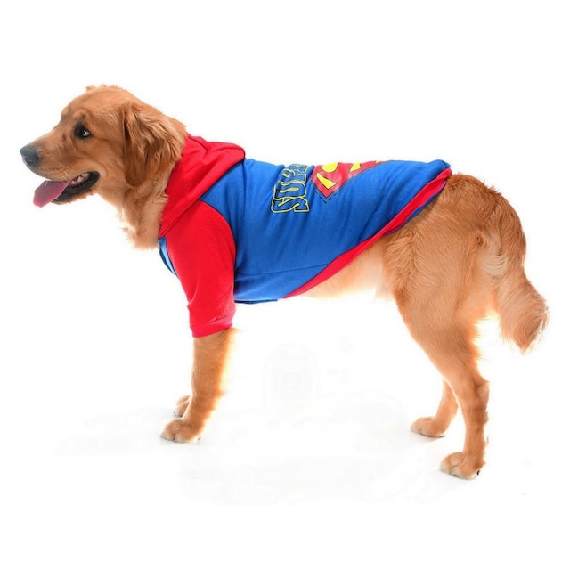 Köpek Sweatshirt ve T-shirt Seçerken Dikkat Edilmesi Gerekenler