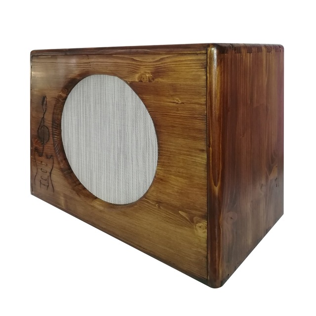 elektro gitar amfisi hoparlor kabini fiyatlari ve ozellikleri