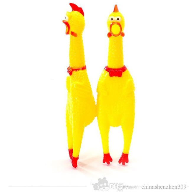 Bagiran Oten Tavuk Horoz Ordek Fiyatlari Ve Ozellikleri Bagiran Oten Tavuk Horoz Ordek Fiyatlari Ve Ozellikleri