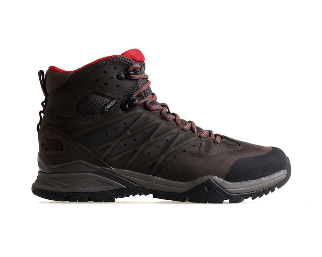 the north face hedgehog hike mid gtx erkek bot