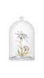 5701376 Swarovski Ev Dekorasyonu Florere:bell Jar 130th Annıversary 5701376 Swarovski Ev Dekorasyonu Florere:bell Jar 130th Annıversary