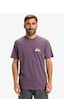 Quiksilver Ev Mini Logo Ss Erkek T-shirt-29760 Mor