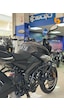 Bajaj Pulsar Ns 200 Özel Üretim Ön Koruma Demiri 3 Takozlu Siyah