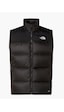 The North Face M Diablo Down 2.0 Vest Erkek Yelek Siyah