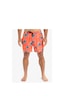 Quiksilver Everyday Straight Volley 15 Erkek Şort Eqyjv04121-8209 Karışık