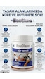 Bauglanz Profesyonel Anti-mold Küf Ve Rutubet Önleyici Boya 1.5 KG