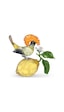 5651811 Swarovski Biblo Idyllia:royal Flycatcher 5651811 Swarovski Biblo Idyllia:royal Flycatcher