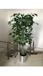 Cihan Çiçekçilik Yapay Ağaç Çınar Ağaç 180 Cm Metal Saksıda Yeşil