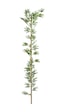 Cihan Çiçekçilik Bambu Çubuk 150 Cm Yeşil