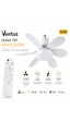 Ventus Sessiz Çalışma 6 Kanat Ve Işıklı Uzaktan Kumandalı Tavan Tipi Vantilatör-tavan Fanı 40w