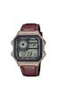Casio AE-1200WHL-5AVDF Erkek Kol Saati