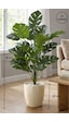 Biçiçek Yapay Monstera Deve Tabani 60 Cm Krem Yakut Saksıda Biçiçek Yapay Monstera Deve Tabani 60 Cm Krem Yakut Saksıda