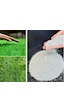 Bermuda Grass Çim Tohumu Cynodon Dactylon 1 Kg