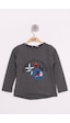 Toontoy Kids Toontoy Kız Çocuk Pullu Güllü Nakışlı T-shirt Antrasit