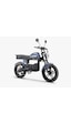 Ape Ryder Gibbon Ultra Pro 1000w Elektrikli Bisiklet Mavi Ayna ve El gazı