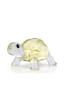 5721550 Swarovski Ev Dekorasyonu Idyllıa:baby Tortoıse 5721550 Swarovski Ev Dekorasyonu Idyllıa:baby Tortoıse