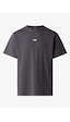 The North Face Nf0a8gqe-dom Essential Center Logo Relaxed Short Erkek T-shirt Gri