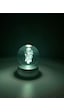 3d Harry Potter Temalı Işıklı Cam Küre Renkli
