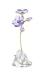 5693143 Swarovski Biblo Florere:rozanne