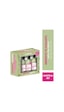Rosemary Clove Biberiye & Karanfil Canlandırıcı Ve Güçlendirici Seyehat Boy Set
