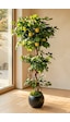 Yapay Limon Ağacı 180 Cm - 6 Limonlu Siyah Küre Saksılı 27x33 Cm Beyaz Yapay Limon Ağacı 180 Cm - 6 Limonlu Siyah Küre Saksılı 27x33 Cm Beyaz