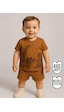 Denokids Dinozor Erkek Bebek T-shirt Kaşkorse Şort Takım Çok Renkli