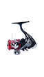 Daiwa Ninja 23 Lt 2000 Makara