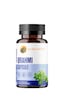 Gotu Kola, Brahmi Bacopa Monnieri, Katkısız 400 Mg,60 Kapsül Gotu Kola, Brahmi Bacopa Monnieri, Katkısız 400 Mg,60 Kapsül