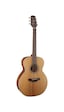 Takamine Gn20-Ns Akustik Gitar