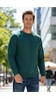 Remsa Erkek İçi Şardonlu Bisiklet Yaka Pamuklu Sweatshirt 0319 Zümrüt Yeşil Zümrüt