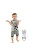 Denokids Rakun Erkek Bebek T-shirt Kısa Pantolon Takım Gri