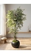 Yapay Benjamin Starlight Ağacı 180 Cm - Küre Saksılı Beyaz