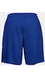 Under Armour Erkek UA Tech™ File Şort 1328705-400