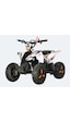 Arora Blade Elektrikli Atv 1000w 48v12ah 25 Km/h Çift Disk Fren 30-40 Km Menzil 4 Teker Elektrikli Atv Beyaz