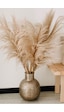 Alyones Gerçek Kuru Çiçek 7'li Büyük Boy Pampas 100 Cm Alyones Gerçek Kuru Çiçek 7'li Büyük Boy Pampas 100 Cm