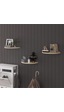 Asra Trend Oval Duvar Rafı DRF-04 %100 MDF 3'lü Dekoratif Organizer Kitaplık Meşe